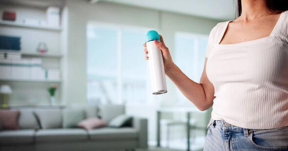 Homes will smell fresher and less stale if you make simple homemade ...