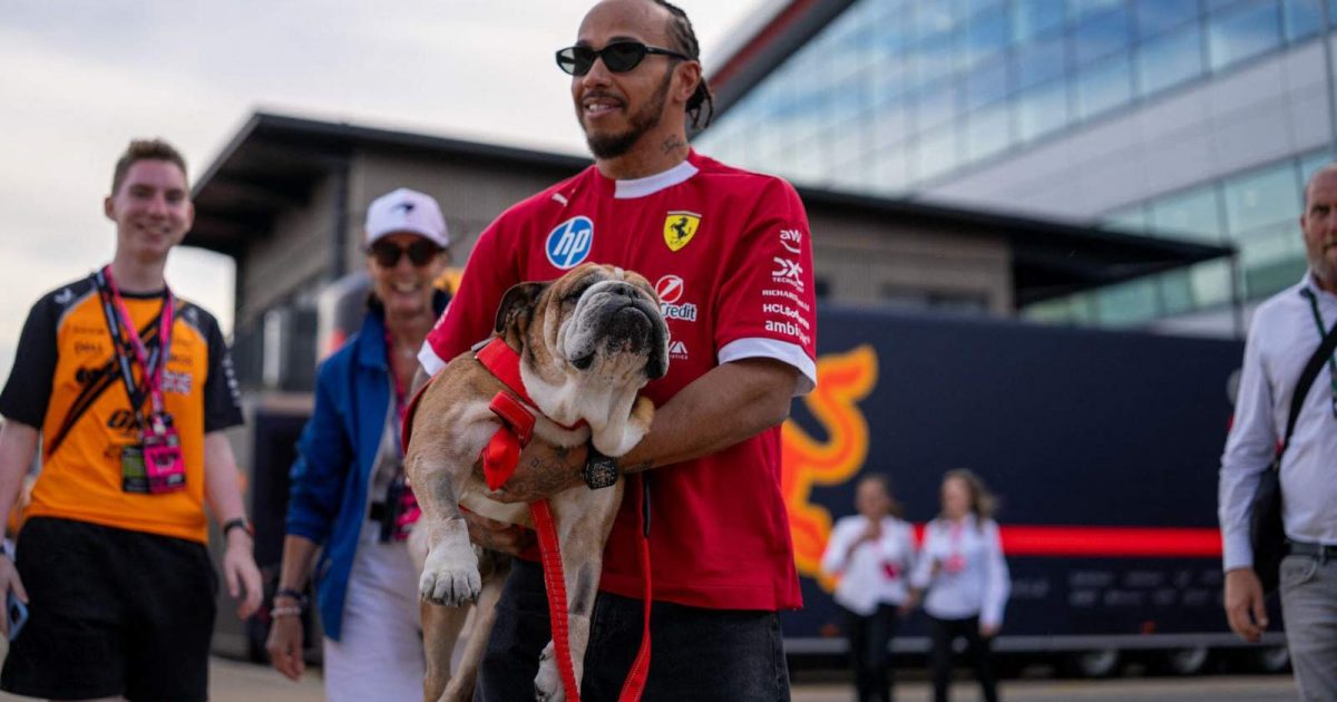 Lewis Hamilton delivers heartbreaking news as beloved Roscoe passes away