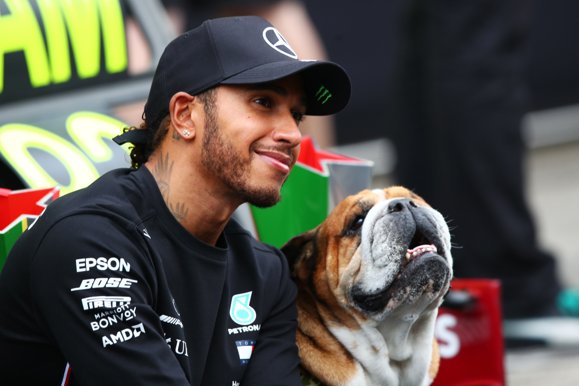 Lewis Hamilton announces death of beloved dog Roscoe