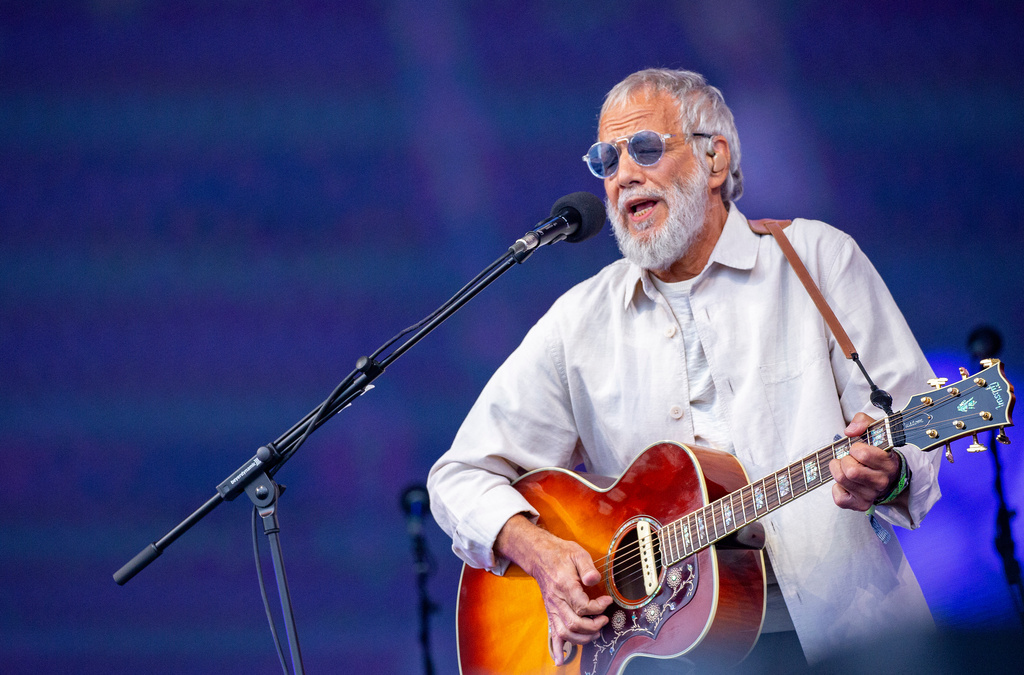 Music Cat Stevens