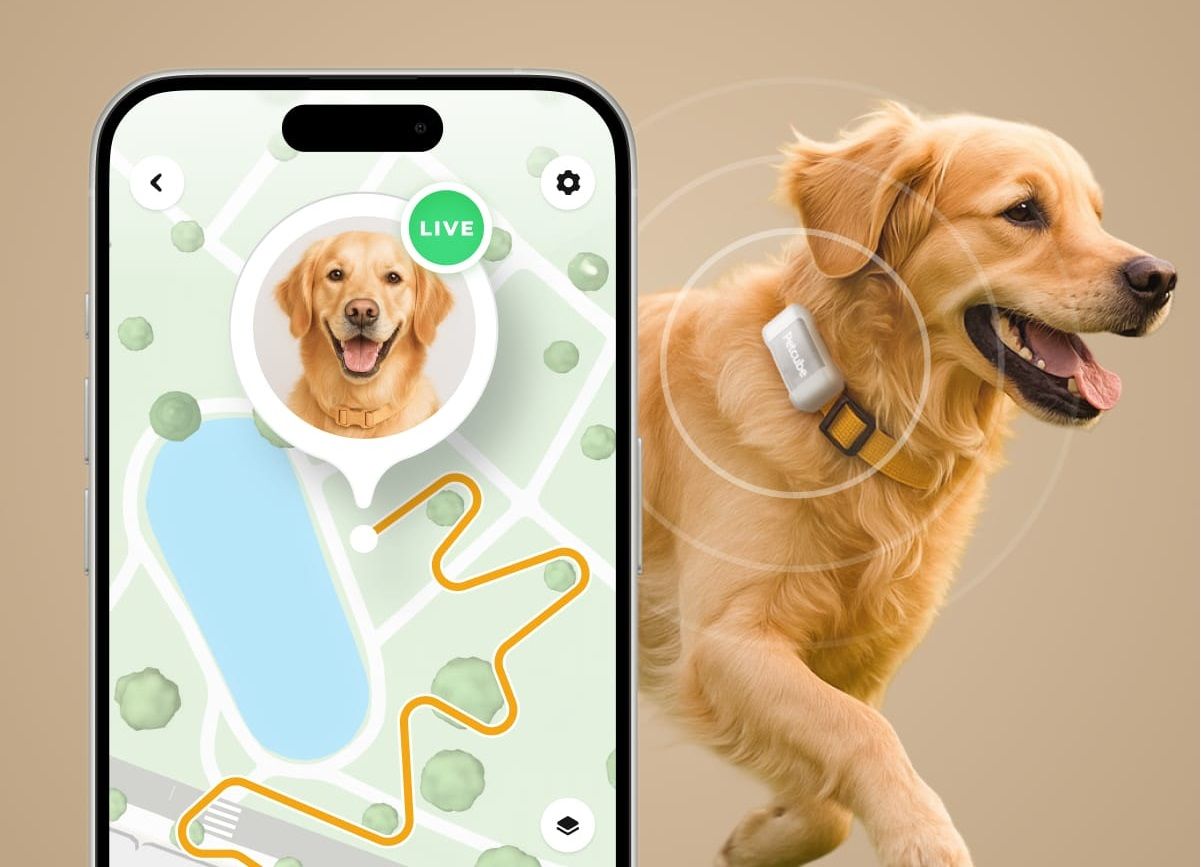 This Dog GPS Deal Shows Real-Time Routes and Fast Escape Alerts