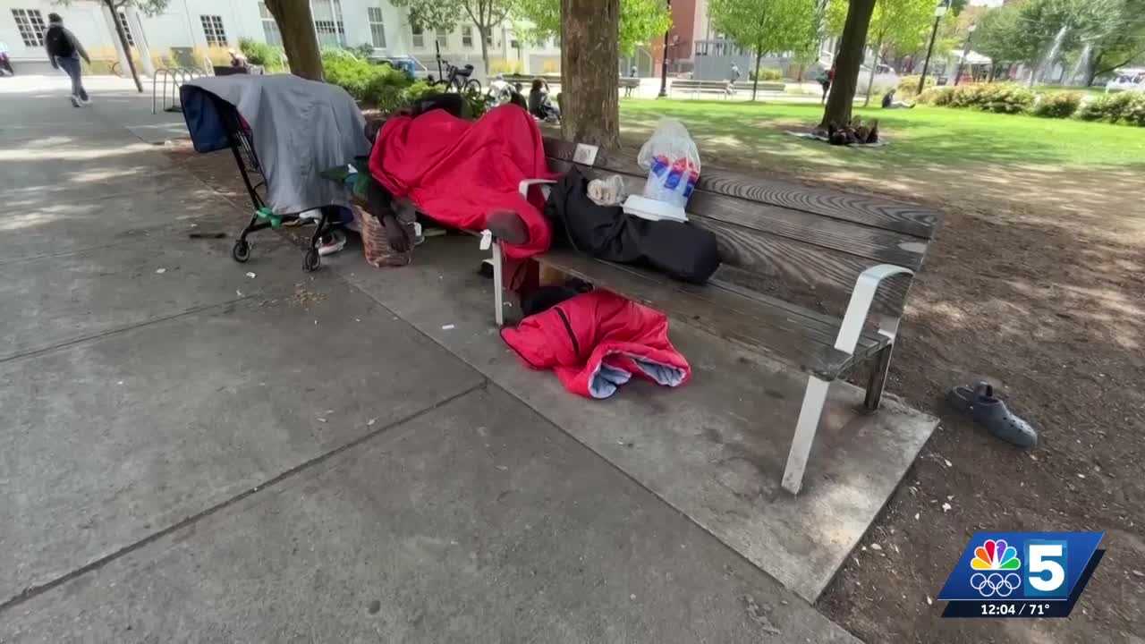 As crime declines at Burlington City Hall Park, police say more than