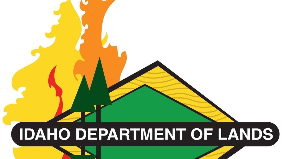 IDL firefighter dies after being struck by tree