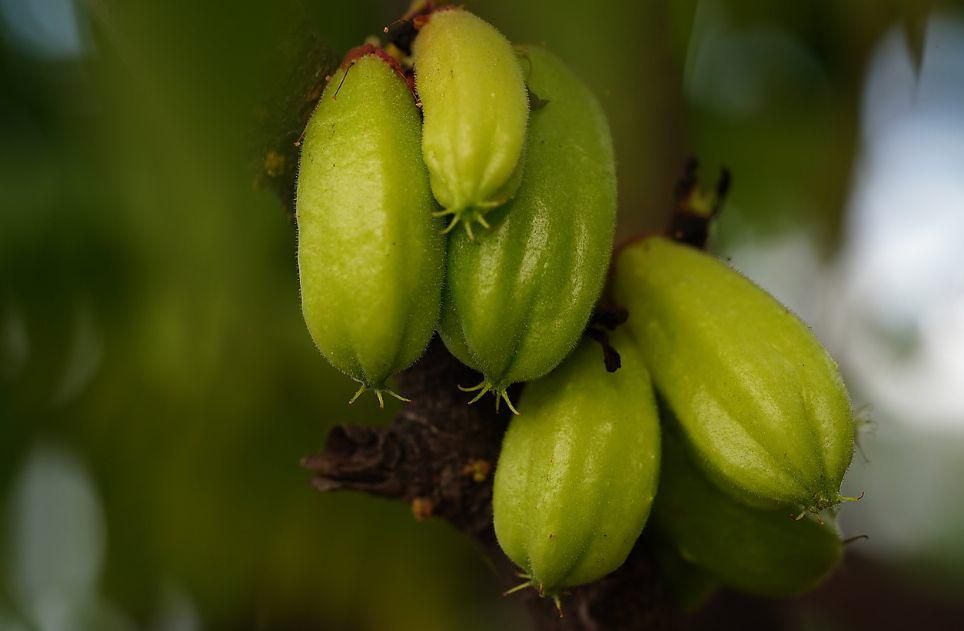 5 Cara Menghilangkan Noda Lama pada Baju Putih
