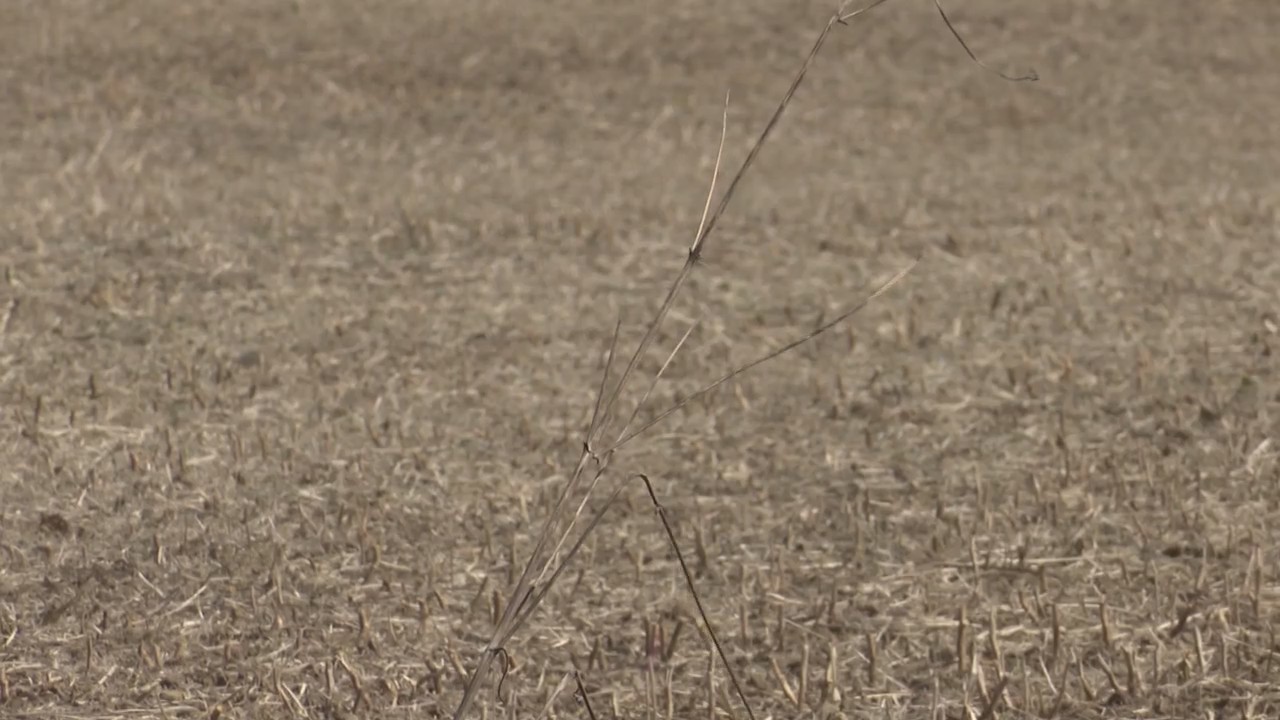 Artist honors southeast Fort Wayne culture with sculpture at Ivan