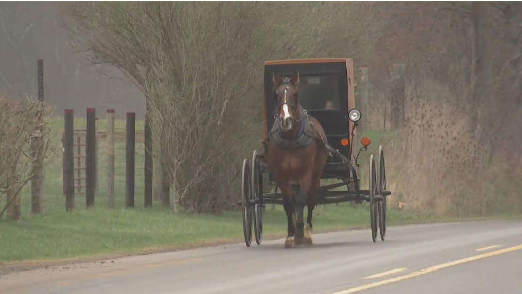 7yearold and 9yearold killed after Pennsylvania driver crashes into(00)