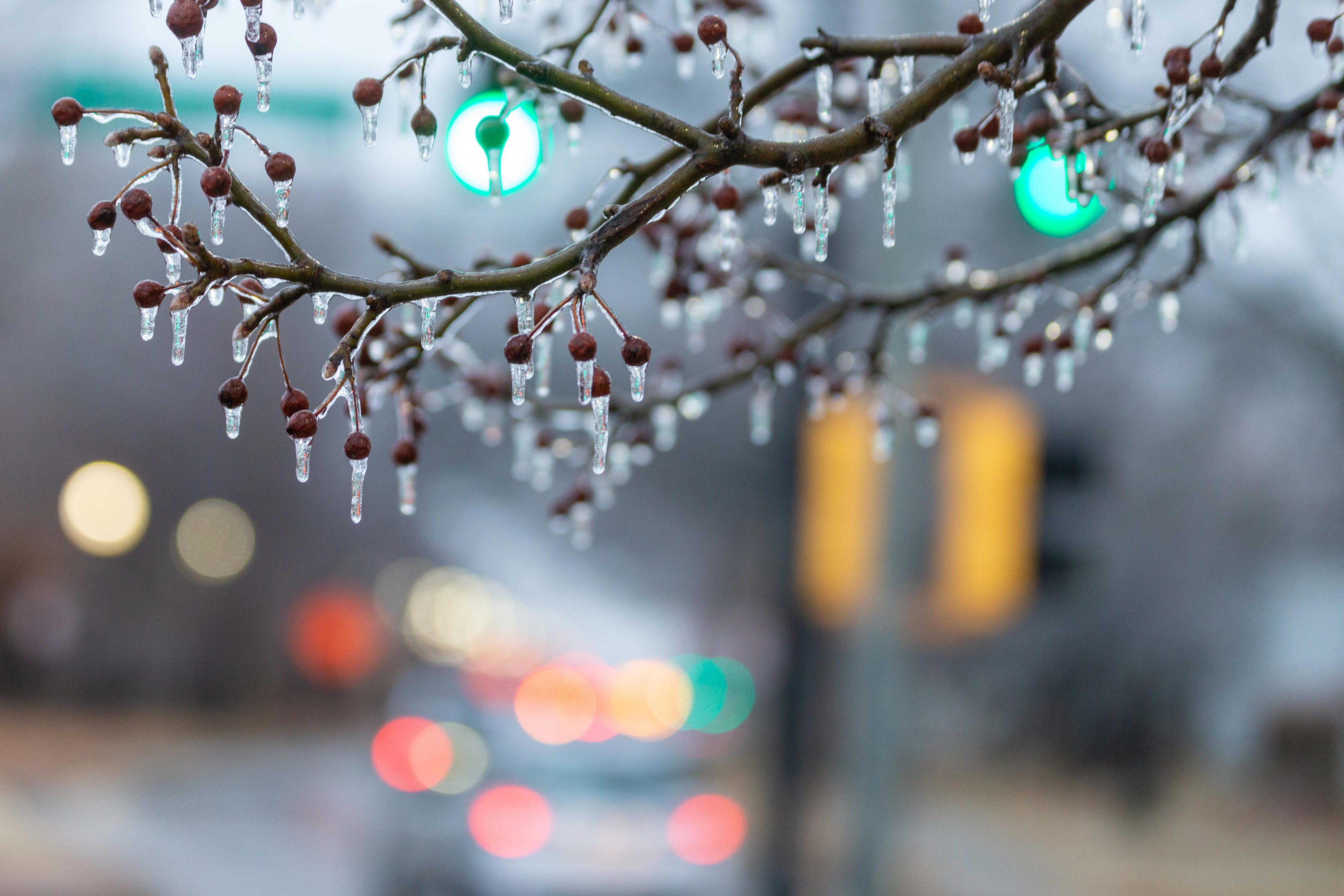 When Kansas might see its first freeze as polar vortex begins to stir