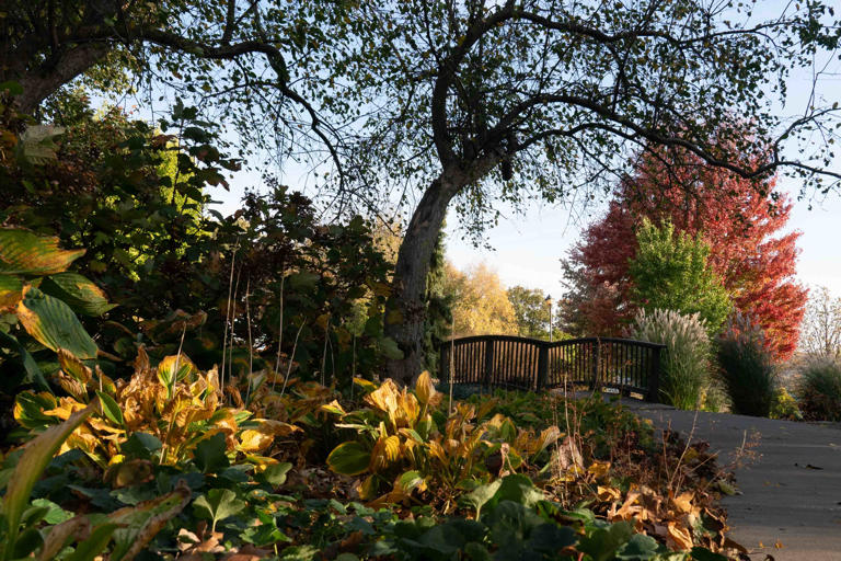 Here are 7 places to enjoy breathtaking fall foliage in Kansas