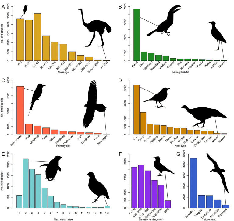 BIRDBASE dataset tracks ecological traits for 11,589 species of birds