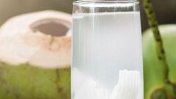 Ramuan Herbal Diklaim Bantu Kurangi Keracunan Makanan, Ini Penjelasan Ketua PDPOTJI