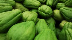 Sayuran Murah, Kaya Manfaat Kesehatan