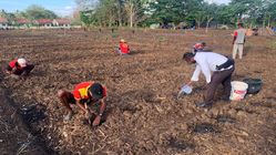Dilatih Jadi Petani Semangka, WBP Lapas Atambua: Belajar Mulai Lagi Hidup