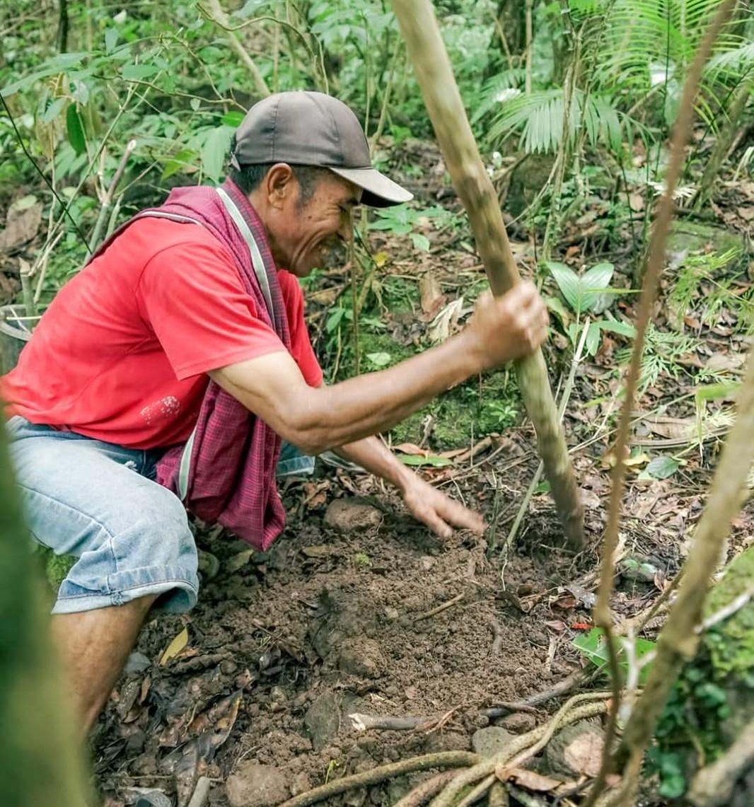 Lindungi Bumi dan Tingkatkan Ekonomi dengan Lingkungan Berkelanjutan: Kunci Menuju Masa Depan yang L