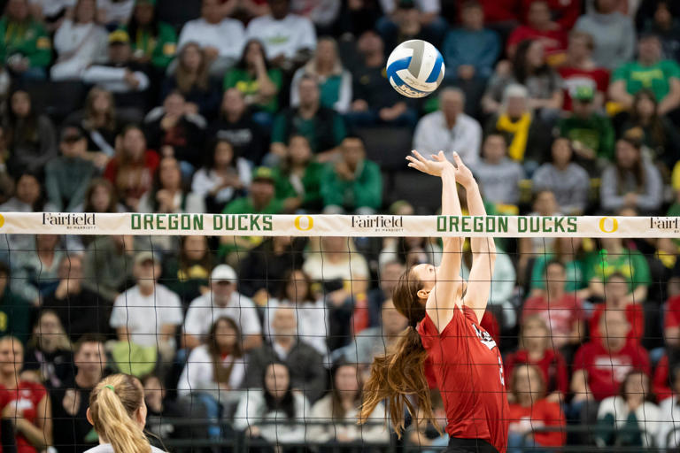 Nebraska volleyball players Bergen Reilly and Rebekah Allick win weekly ...