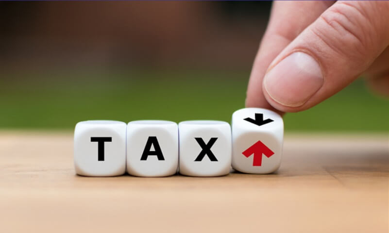 Jenis Pajak di Indonesia: Panduan Wajib Pajak