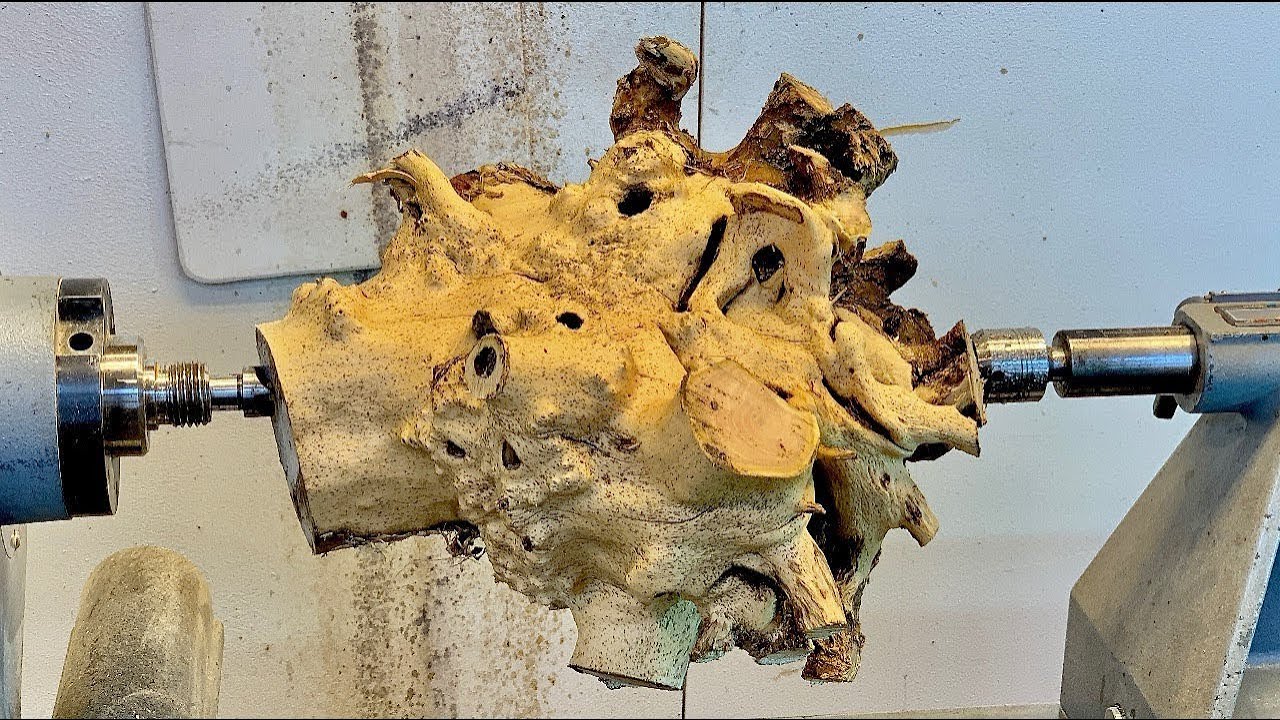 How A Forgotten Root Became Something Epic