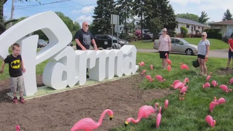 Parma makes flamingo official city mascot during event at Cleveland ...