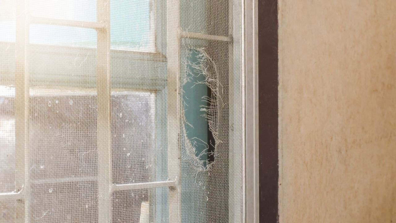 10 things you can fix for $10 that’ll save you hundreds