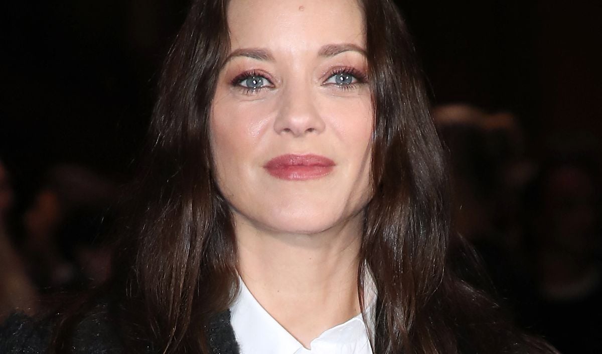 Sitemapcdatahttpsfoowindecoocommarion Cotillard Enceinte 2022
