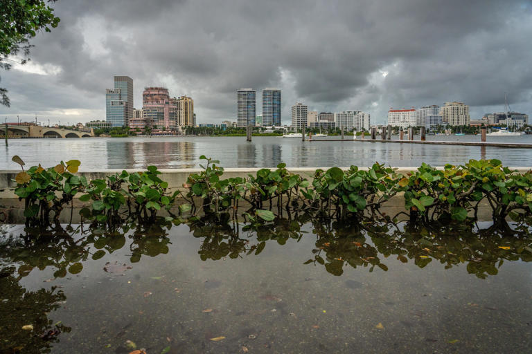 See flooding in Palm Beach and South Florida caused by king tides ...