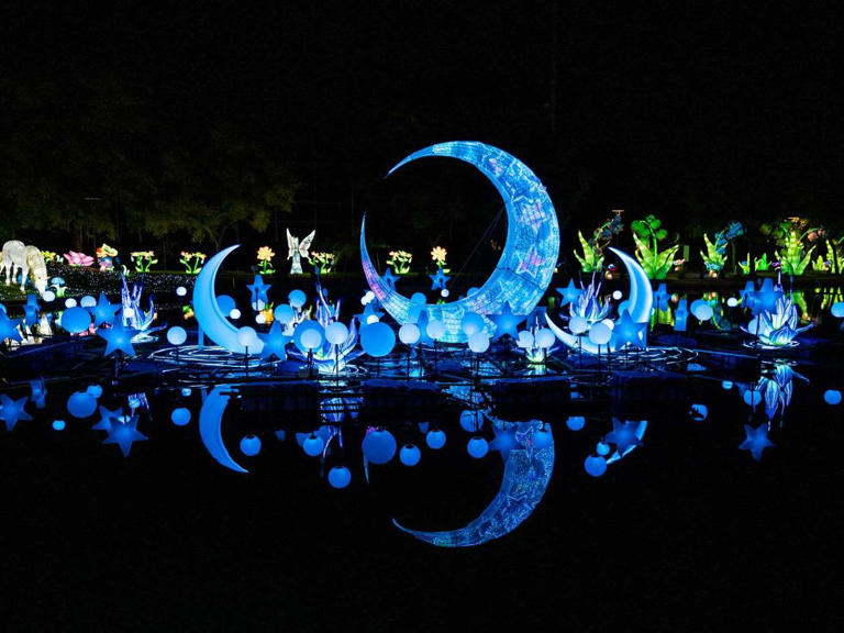 San Antonio Botanical Garden lights up holidays with Illuminate show