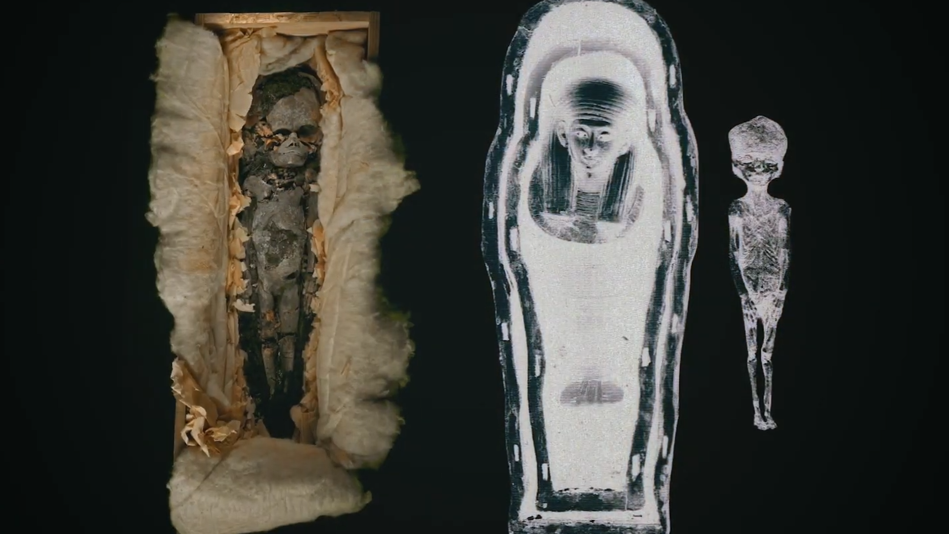 DNA Breakthrough: Scientists May Have Finally Found Queen Nefertiti | Watch