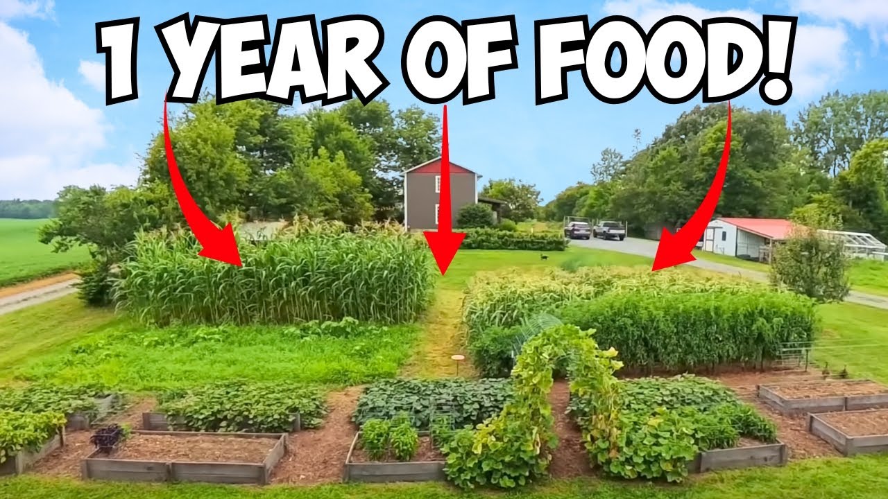 How a 1/8 acre garden feeds a family of 6 all year!