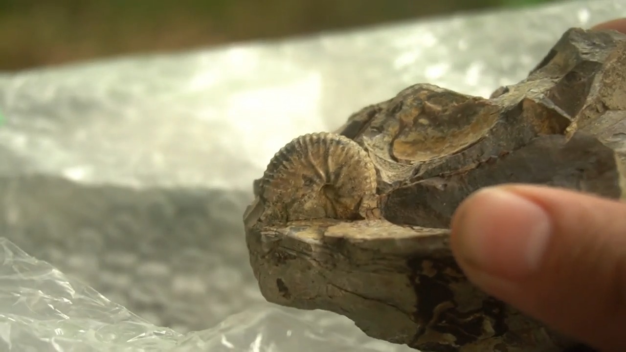 Why this rockhounding care package left me speechless