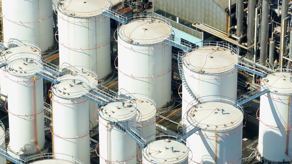 Eerie photos purportedly showing real aliens