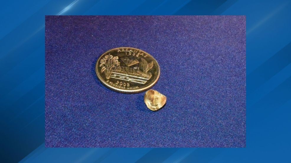 Indiana visitor unearths 2.71-carat diamond at Crater of Diamonds State ...