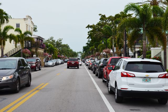A street scene with cars parked on both sides and palm trees lining the road