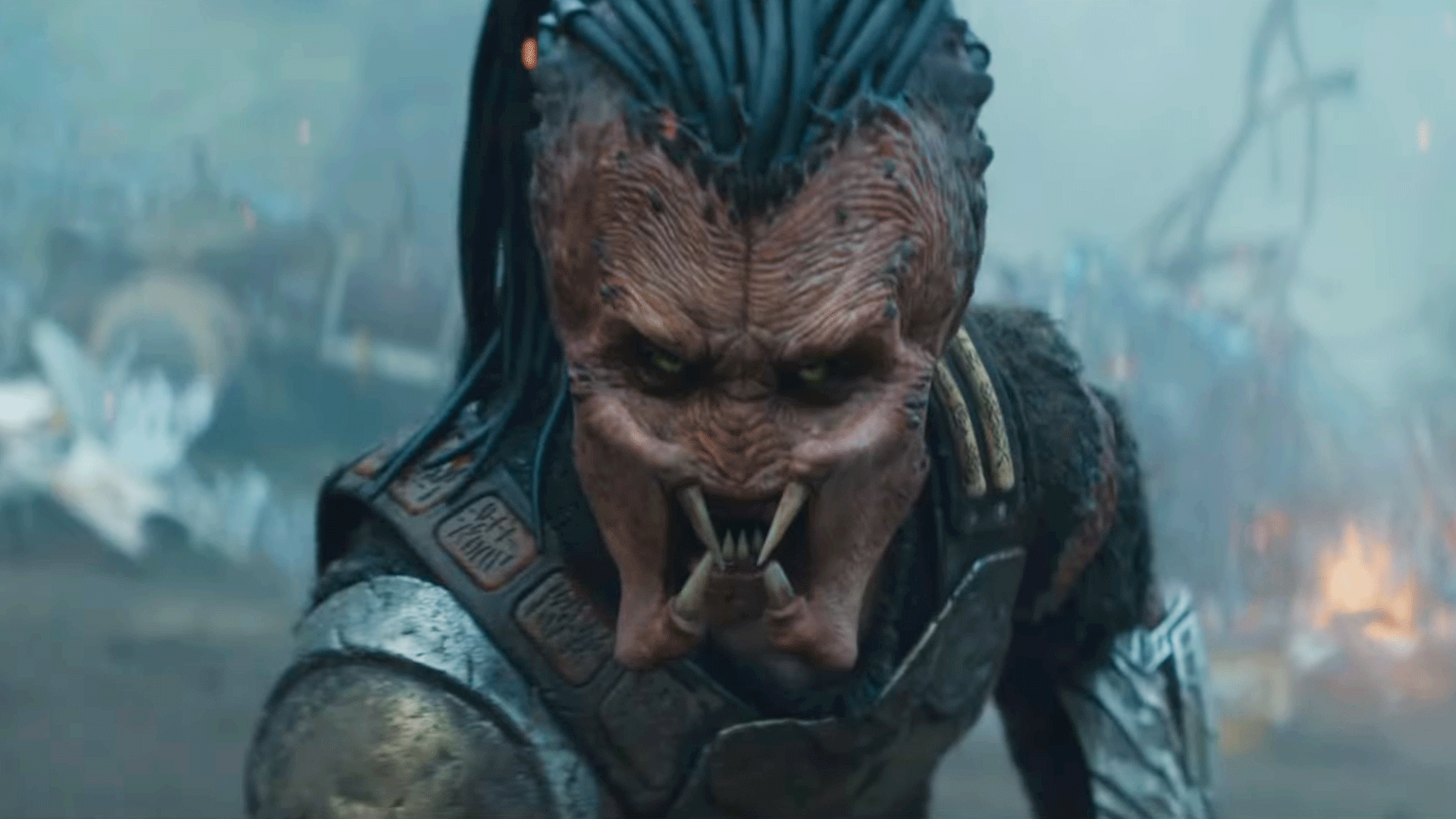 Predator: Badlands Is Confirmed PG-13 Rather Than R-Rated, and Fans of ...