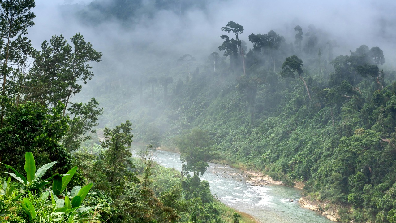 Parts of the Amazon see alarming surge in climate extremes