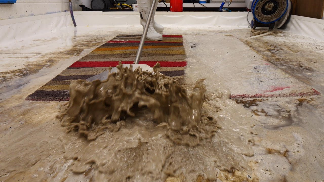 This rug was left in the garden for a year!