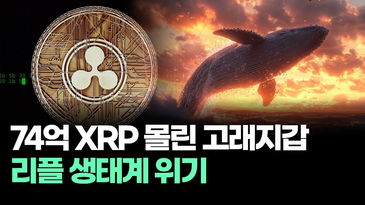 74억 XRP 몰린 고래지갑, 리플 생태계 위기! | Watch