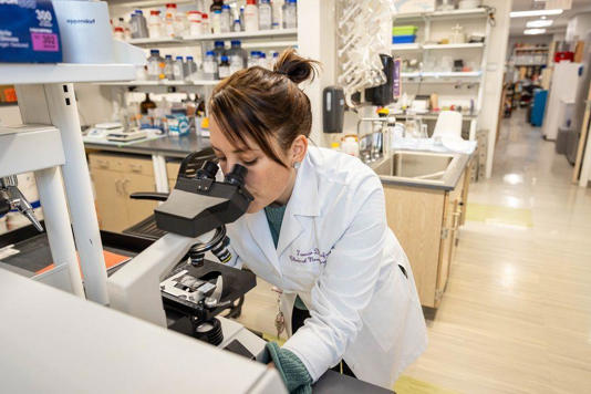 Varios de los hallazgos del estudio se han conseguido a nivel microscópico.