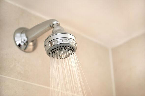 I do 1 simple two-minute job after showering-I've never seen mould in ...