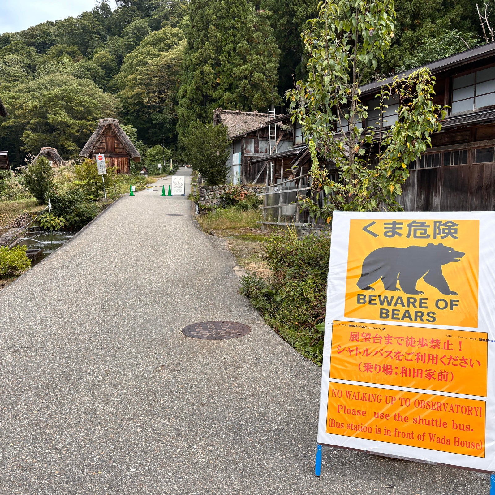 Bear injures 2 in Japanese grocery store, man killed in separate attack(02)