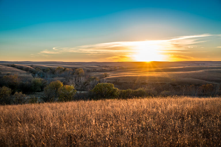 8 Quirky Kansas Facts That Sound Made Up (But Are Totally True)