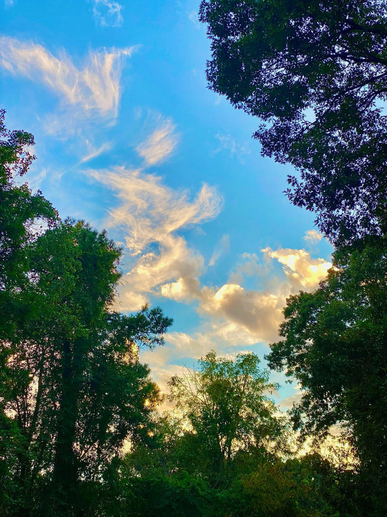 or does it explode?'