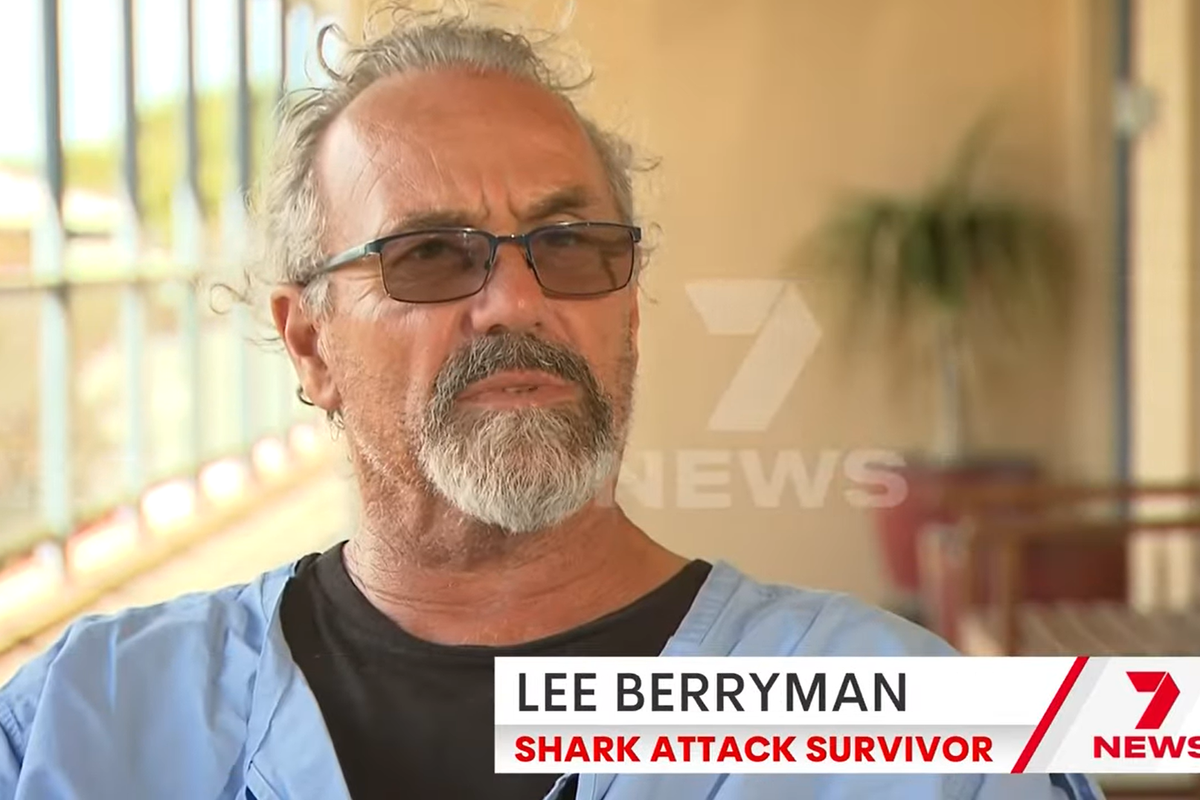Man attacked by shark at tourist spot drove himself to hospital despite