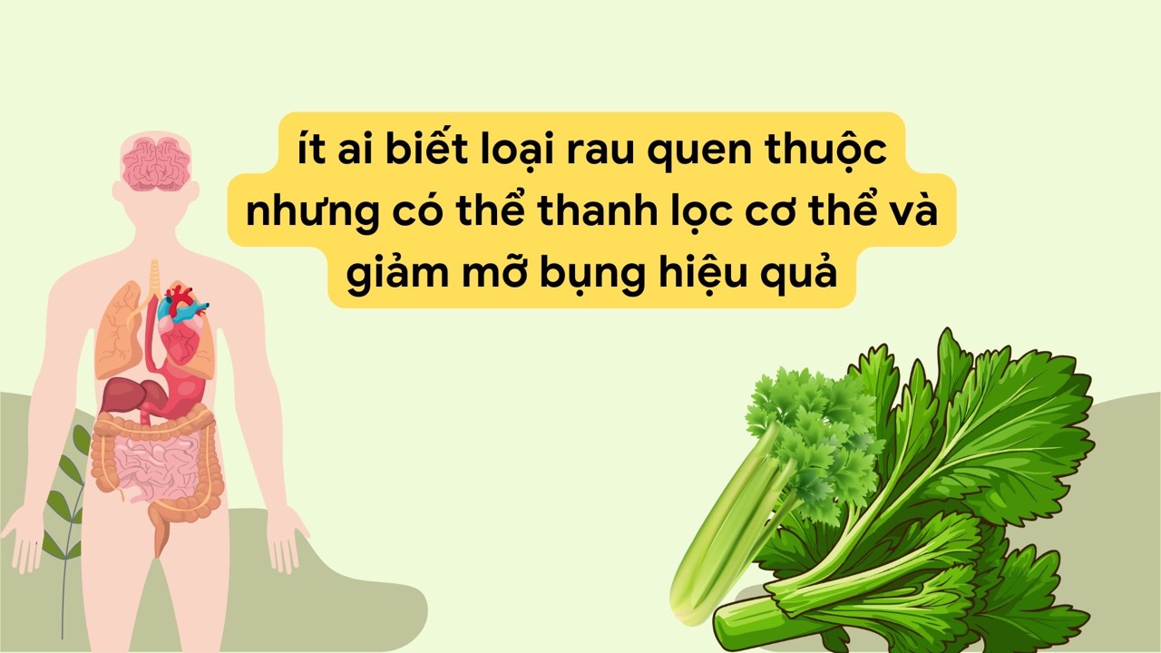 Loại rau quen thuộc có thể giúp thanh lọc cơ thể và giảm mỡ bụng hiệu quả