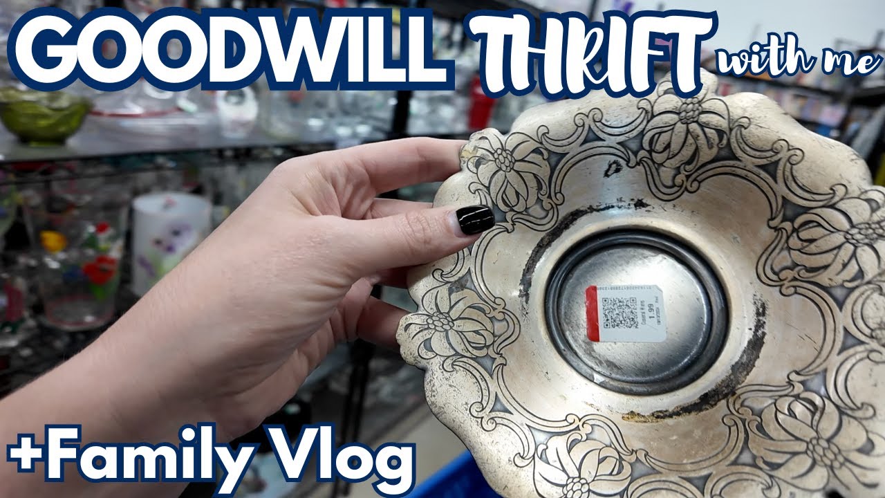 Can't split it up at Goodwill with family vlog
