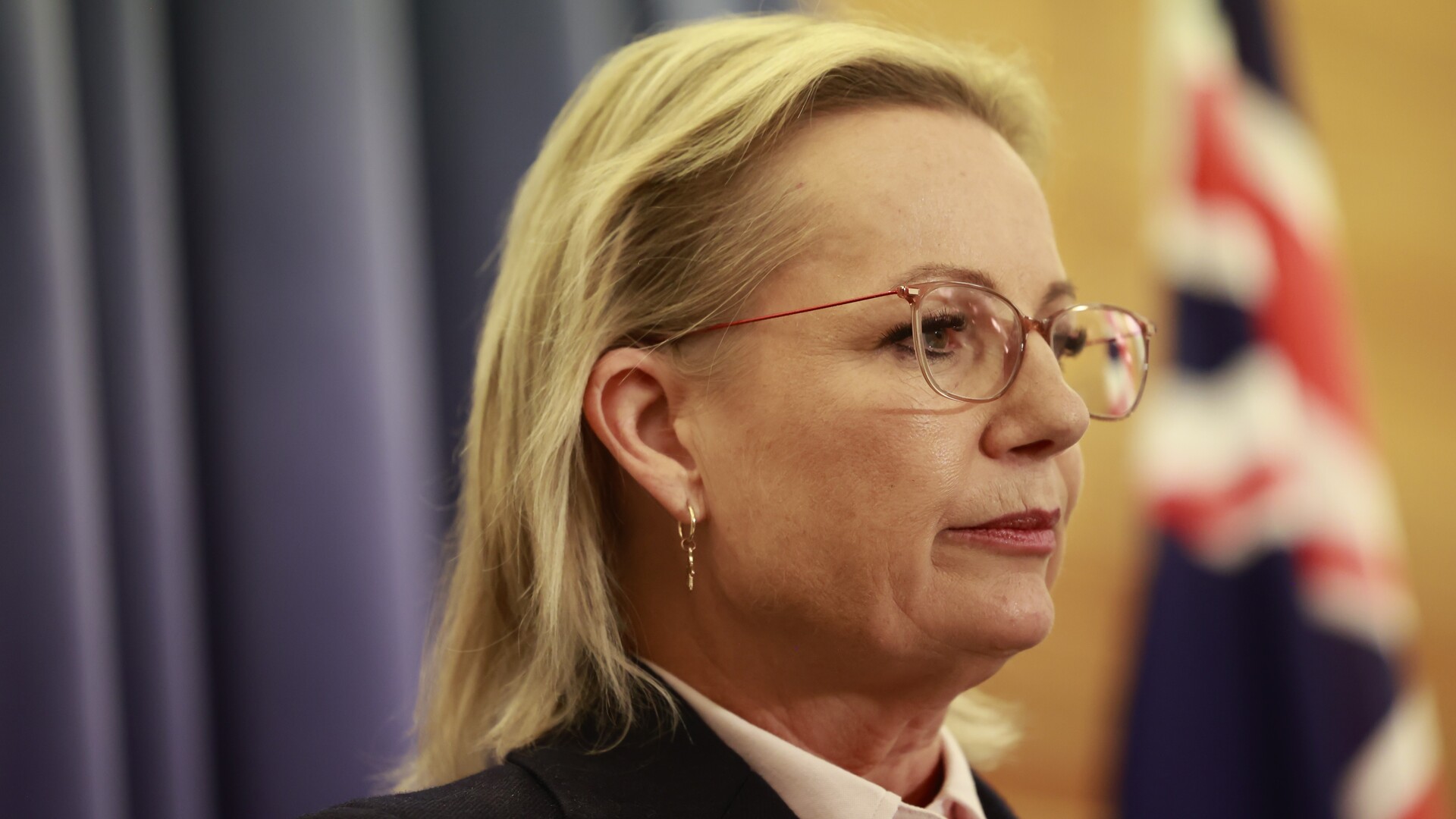 ‘Need to act’ Sussan Ley's emotional plea to government to back child(02)