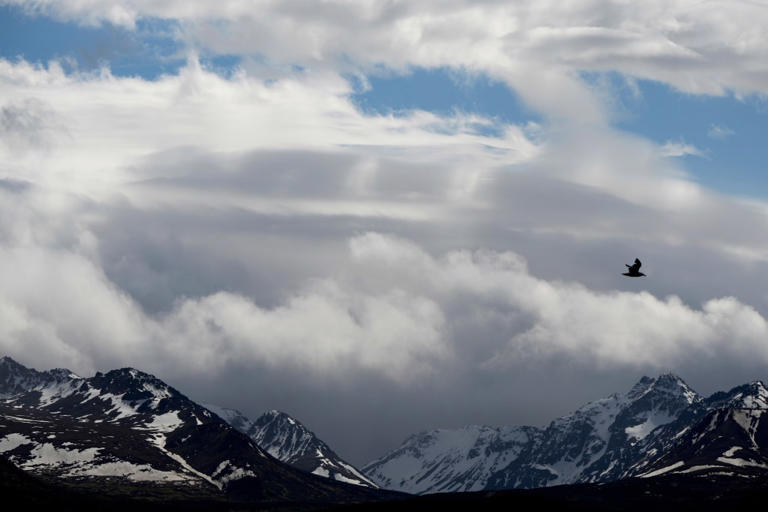 Body of heliskier recovered 7 months after avalanche killed 3 friends