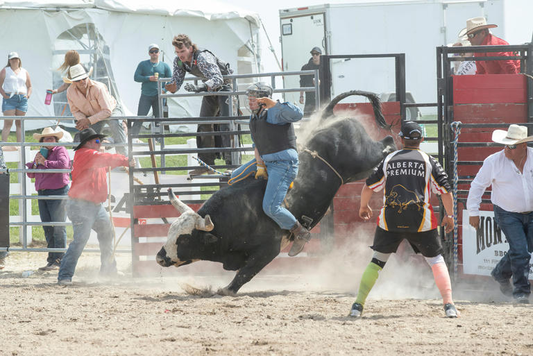 Border Patrol Increases Recruiting Efforts at Rodeos With $15 Million ...