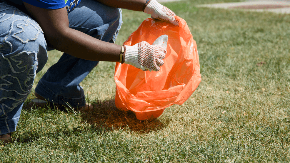 Iowa City launches Project Cleanup with free kits to tackle community ...