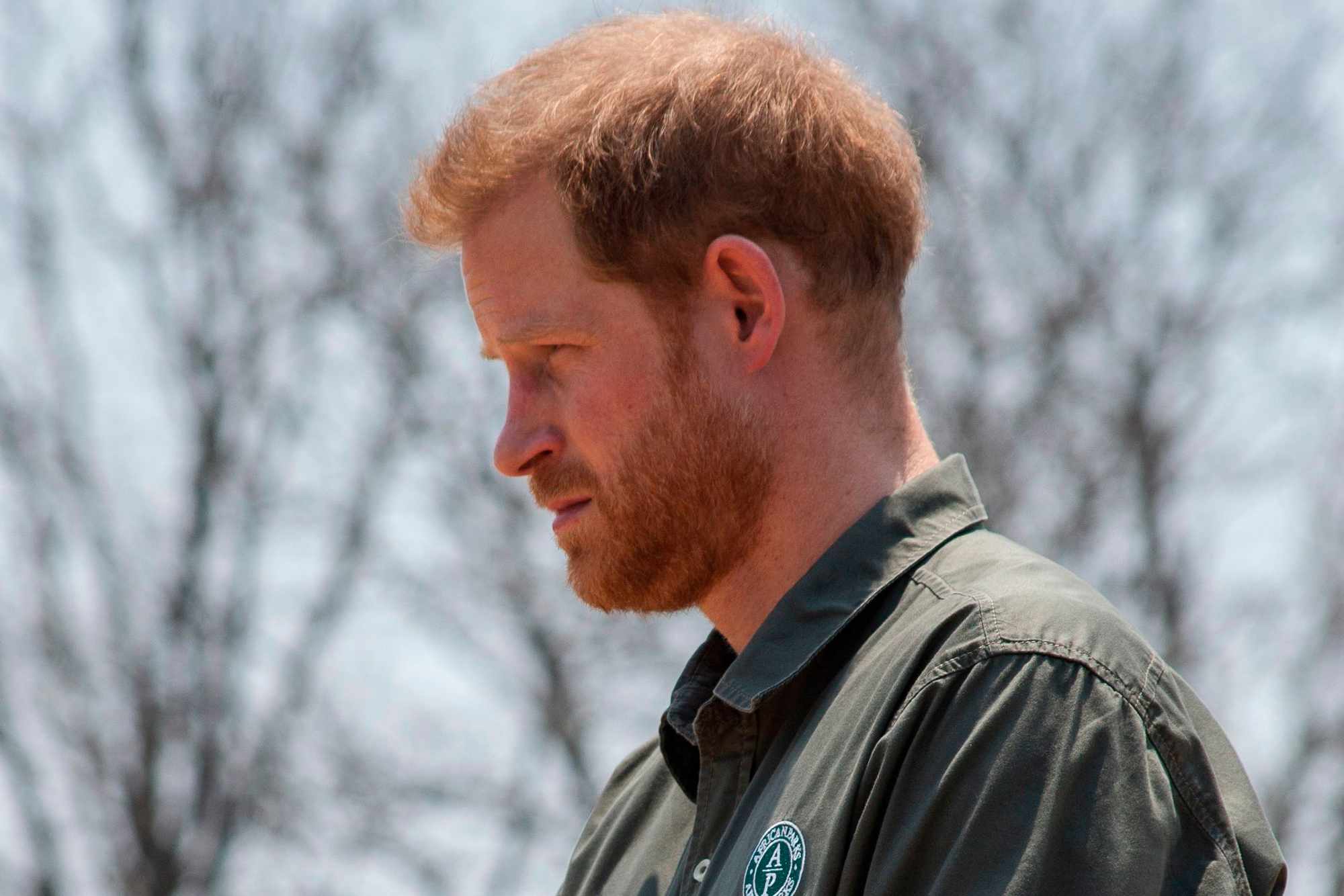 Chad Cuts Ties with Prince Harry’s African Parks Charity in