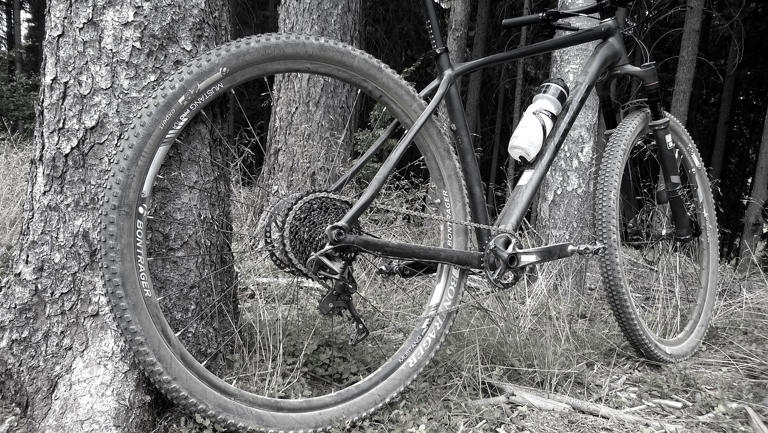 Il monocorona sulla bici da corsa