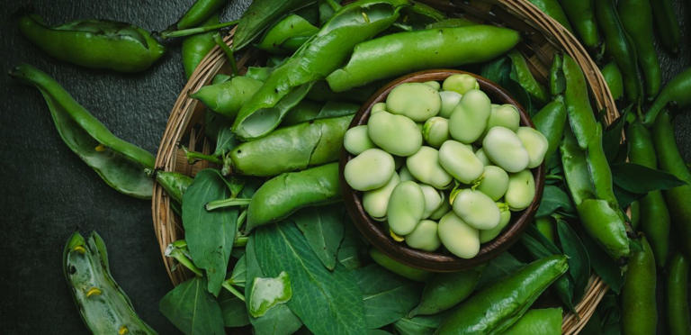 الفول الأخضر غني بالقيم الغذائية